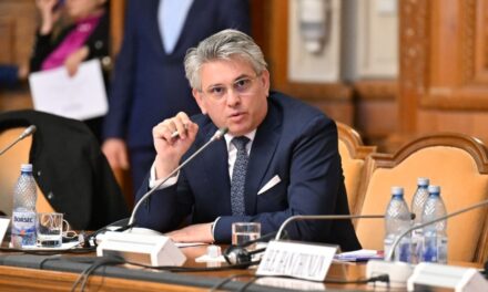 Sterică Fudulea: IMM România nu este de acord cu nicio modificare propusă
