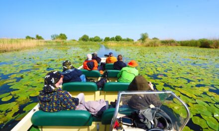Tarifele de acces în Delta Dunării mărite, pescuitul recreativ – contra-cost