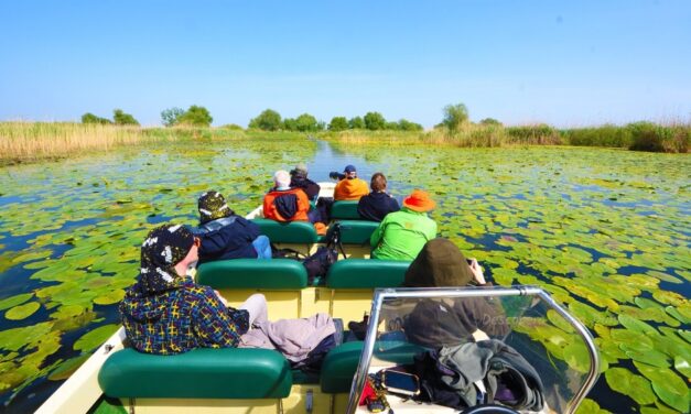 Tarifele de acces în Delta Dunării mărite, pescuitul recreativ – contra-cost