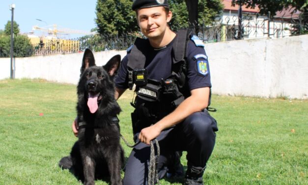 Un căţel de 7 luni a intrat în echipa jandarmilor din Tulcea. Îl cheamă Loki Von Haus Matyas şi e un ciobănesc german