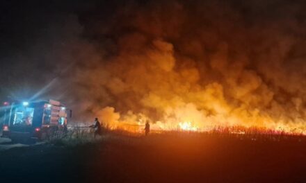 Incendiu de vegetaţie la Sălcioara: 20 de hectare afectate