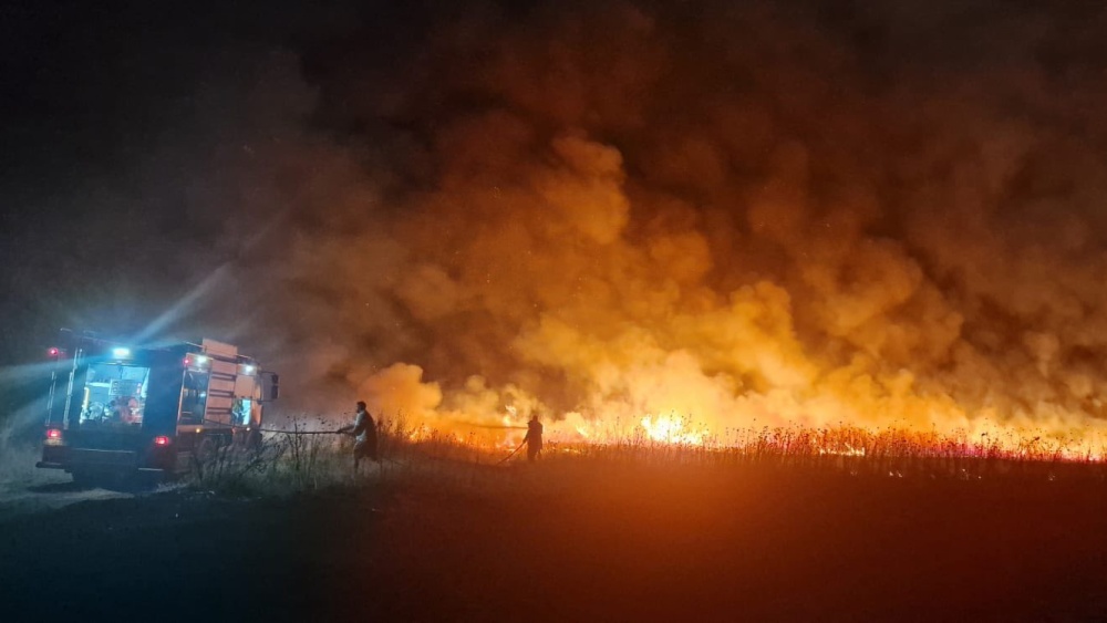 Incendiu de vegetaţie la Sălcioara: 20 de hectare afectate