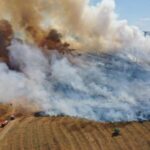 Patru dosare penale deschise pentru incendiile care au pârjolit judeţul. Doar cazul din Greci are autor cunoscut