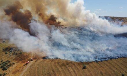 Patru dosare penale deschise pentru incendiile care au pârjolit judeţul. Doar cazul din Greci are autor cunoscut