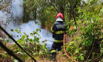 Incendiu de vegetaţie uscată şi fond forestier în zona Sireasa din Delta Dunării