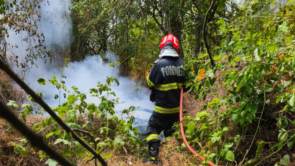 Incendiu de vegetaţie uscată şi fond forestier în zona Sireasa din Delta Dunării