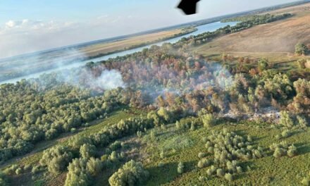 Incendiu în Chilia Veche. Aranjament instituţional pentru prevenirea incendiilor din Delta Dunării