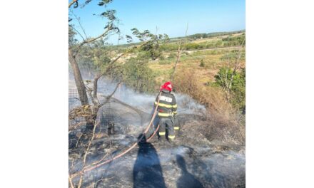 Incendiu de vegetaţie uscată lângă Casimcea: 200 de hectare mistuite de flăcări