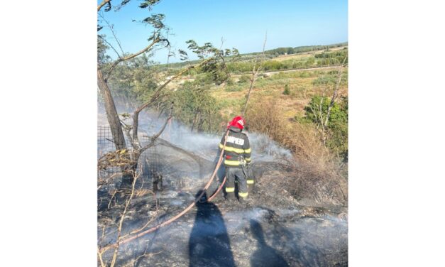 Incendiu de vegetaţie uscată lângă Casimcea: 200 de hectare mistuite de flăcări