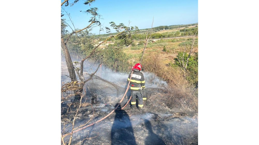 Incendiu de vegetaţie uscată lângă Casimcea: 200 de hectare mistuite de flăcări
