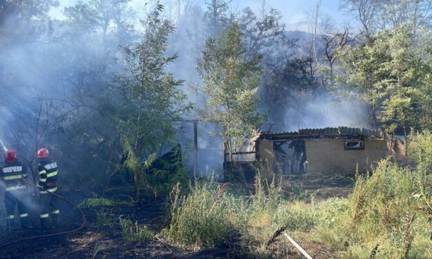 Incendiu puternic la Mahmudia: au ars 4.000 mp de vegetaţie uscată, două anexe gospodăreşti dezafectate şi acoperişul unei locuinţe