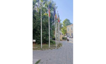 Steagul Federaţiei Ruse, dat jos din Rotonda Personalităţilor din municipiu