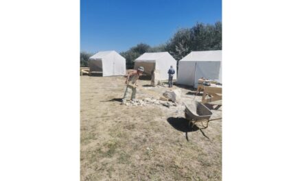 Tabăra de Sculptură şi Pictură DeltArt Camp, la a doua ediţie, în Satul Pescăresc