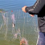 Val de controale în Delta Dunării: tone de peşte confiscate şi sute de unelte scoase din apă