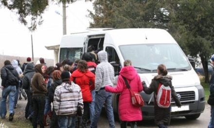 Elevii navetişti din judeţul Tulcea vor primi 56 de bani/km pentru decontarea transportului