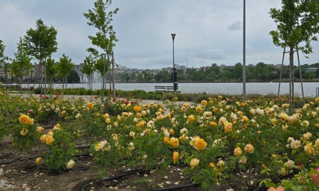 Festivalul Bloom Fest, weekendul acesta, în parcul Rosarium de pe malul lacului Ciuperca