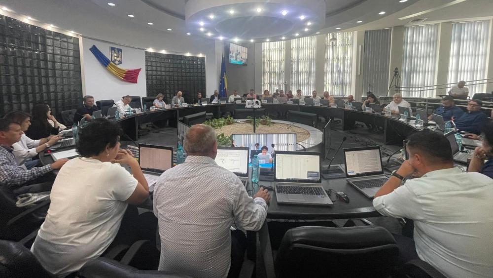 Licitaţiile pentru terenurile din Rusca, în stand by