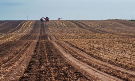 Aproape 200 de hectare, scoase la licitaţie în judeţ pentru tinerii fermieri: 18 hectare sunt la Tulcea