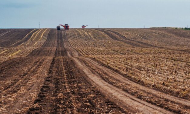 Aproape 200 de hectare, scoase la licitaţie în judeţ pentru tinerii fermieri: 18 hectare sunt la Tulcea