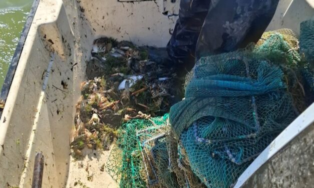 Braconaj pe lacul Razim: aproximativ 250 de kilograme de raci, capturaţi ilegal