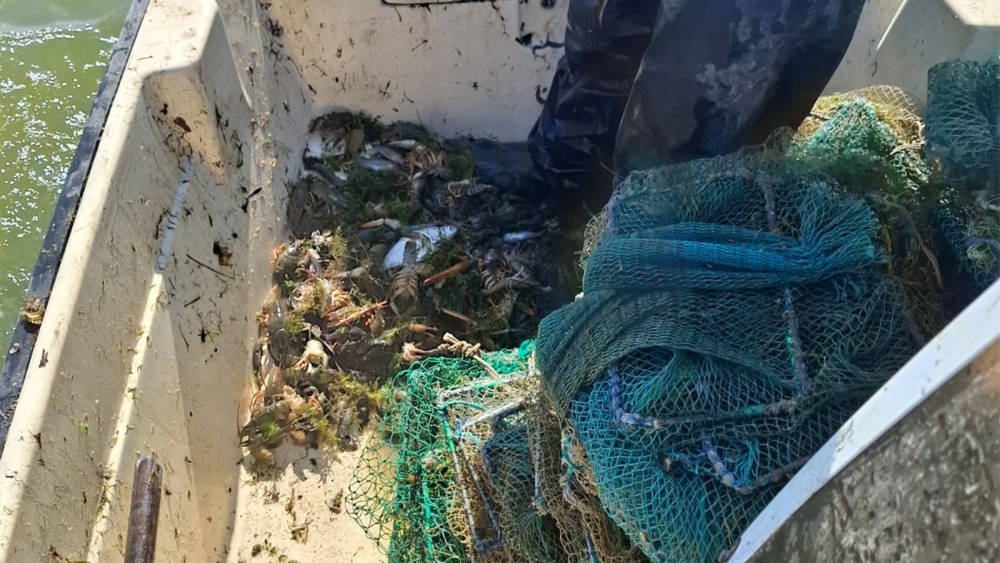 Braconaj pe lacul Razim: aproximativ 250 de kilograme de raci, capturaţi ilegal