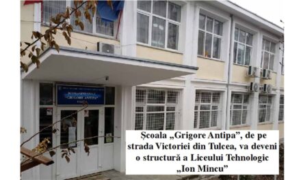 Comasarea şcolilor la Tulcea: 11 directori daţi afară din funcţii, unul numit adjunct