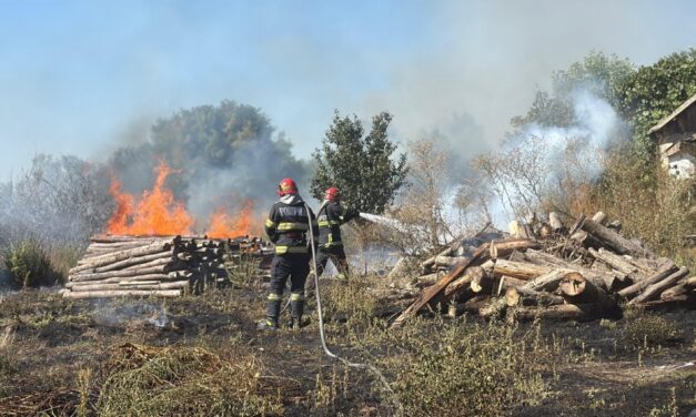 Incendii în Văcăreni şi Cataloi. Pompierii intervin în aceste momente pentru stingerea focarelor