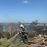 Incendiu de vegetaţie uscată la Murighiol: un autoturism cu GPL, cuprins de flăcări
