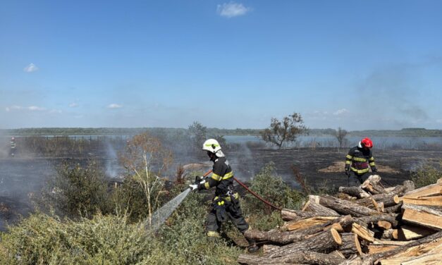 Incendiu de vegetaţie uscată la Murighiol: un autoturism cu GPL, cuprins de flăcări