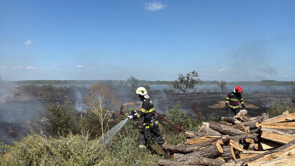 Incendiu de vegetaţie uscată la Murighiol: un autoturism cu GPL, cuprins de flăcări