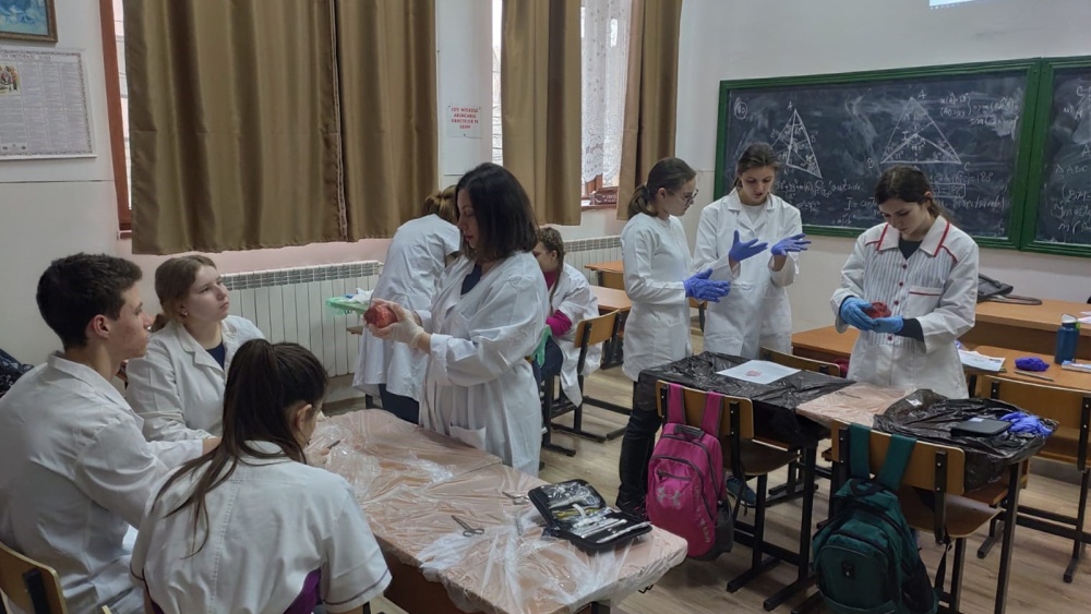 Înscrieri deschise la Centrul Judeţean de Excelenţă Tulcea