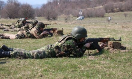 Noi exerciţii militare cu muniţie de război, în Poligonul Cataloi