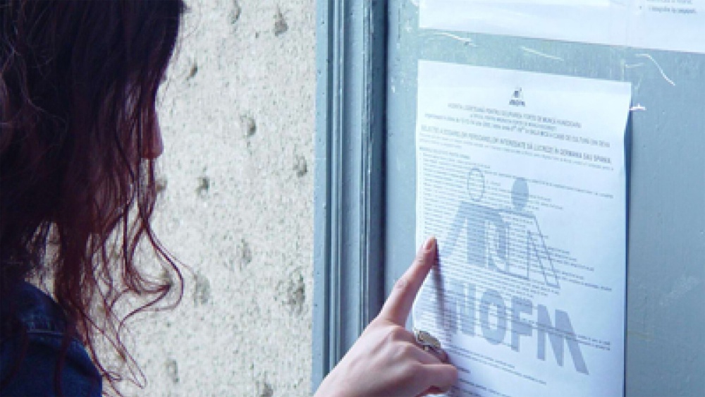 Peste 40 de absolvenţi tulceni ai promoţiei din acest an îşi caută un loc de muncă