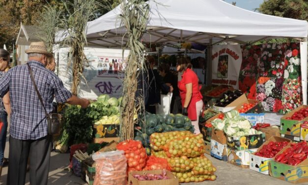 Târgul de Toamnă aduce peste 60 de producători şi meşteri populari, vineri, la Tulcea