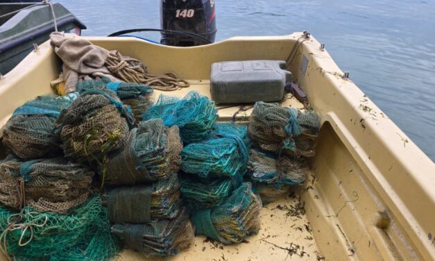 Braconaj în Delta Dunării: autorităţile au confiscat 50 kg de raci şi peste 500 exemplare de peşte