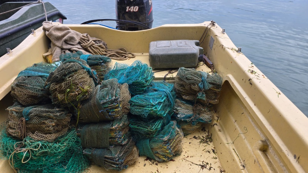 Braconaj în Delta Dunării: autorităţile au confiscat 50 kg de raci şi peste 500 exemplare de peşte