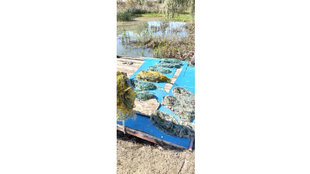Braconaj piscicol în Delta Dunării: unelte confiscate şi peşte eliberat în mediul natural