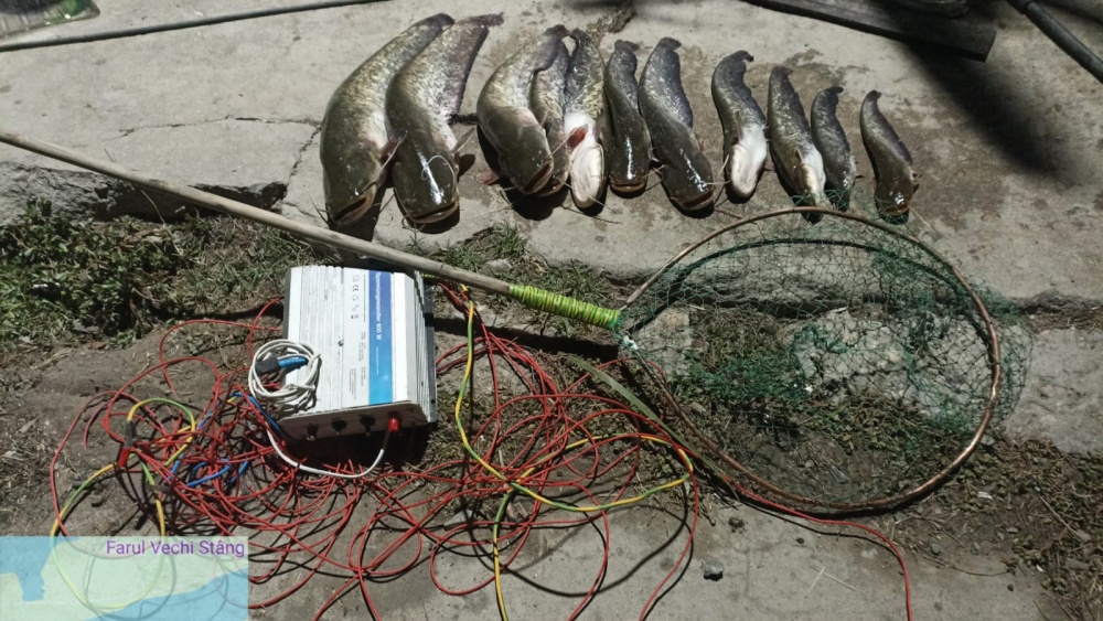 Braconieri prinşi cu dispozitiv de pescuit electric la Sulina