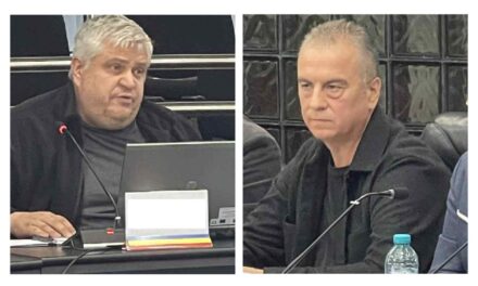 Contre în AUR pe tema turismului: Sorin Zaharcu, atac la Iancu Naciadis