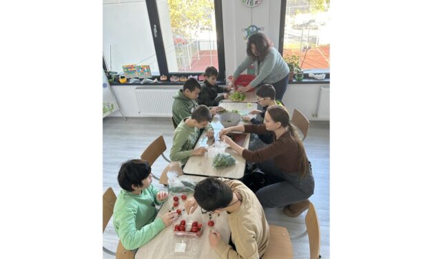 Copiii cu cerinţe speciale din Tulcea vor beneficia de infrastructură educaţională modernă