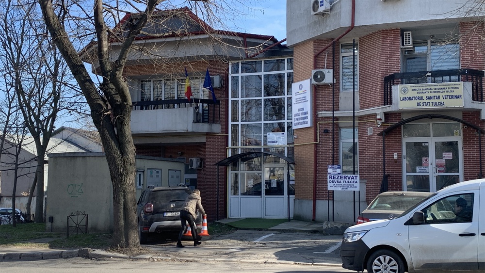 Curtea de Conturi, audit ad-hoc la DSVSA Tulcea: lucrări fără autorizaţie la laborator