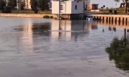 Femeie de 38 de ani, găsită fără viață în Lacul Ciuperca