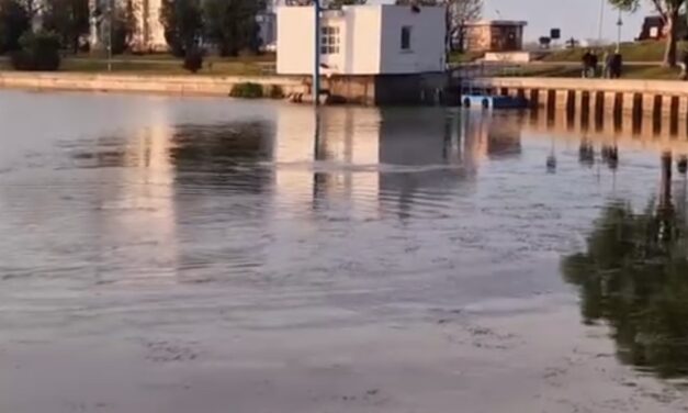 Femeie de 38 de ani, găsită fără viață în Lacul Ciuperca