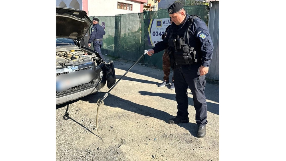 Momente de panică pentru un şofer din Tulcea – un şarpe s-a plimbat pe parbrizul maşinii sale