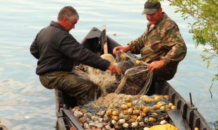 Noi reguli pentru pescuit în Delta Dunării: modificări privind zonele protejate, perioada de prohibiţie şi folosirea setcilor
