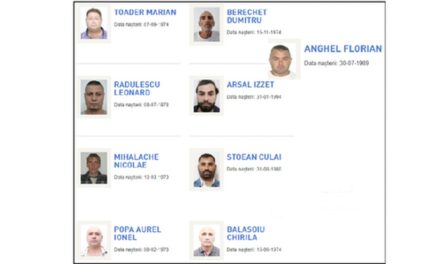 Tulceni daţi în urmărire: traficanţi de droguri, tâlhari şi şoferi băuţi