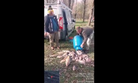 Pescari recreativi, prinşi cu prea mult peşte în Delta Dunării: au fost amendaţi cu peste 12.000 de lei