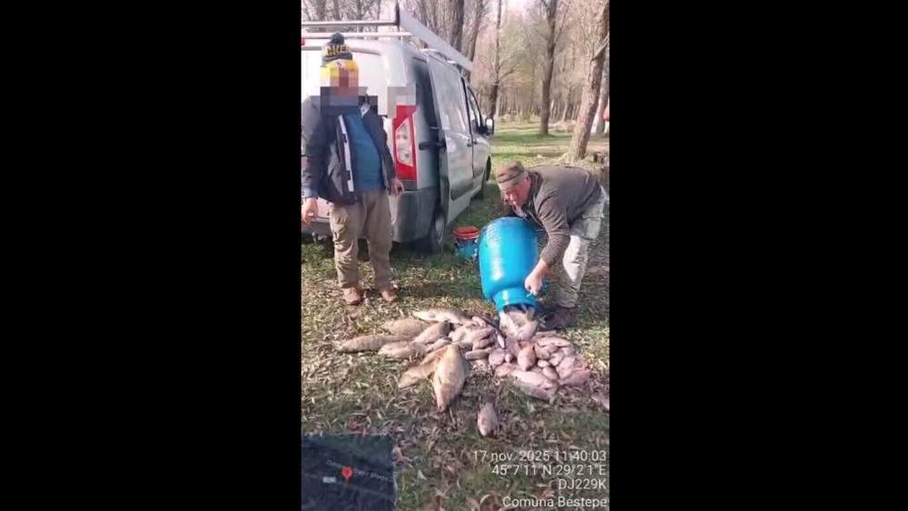 Pescari recreativi, prinşi cu prea mult peşte în Delta Dunării: au fost amendaţi cu peste 12.000 de lei