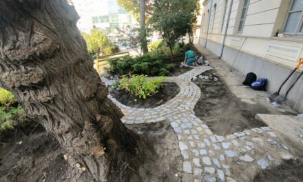 Tulcea se întoarce la natură: spaţiile verzi devin pajişti urbane, cu flori din grădina bunicii şi pietre din tot judeţul