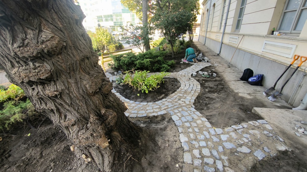Tulcea se întoarce la natură: spaţiile verzi devin pajişti urbane, cu flori din grădina bunicii şi pietre din tot judeţul